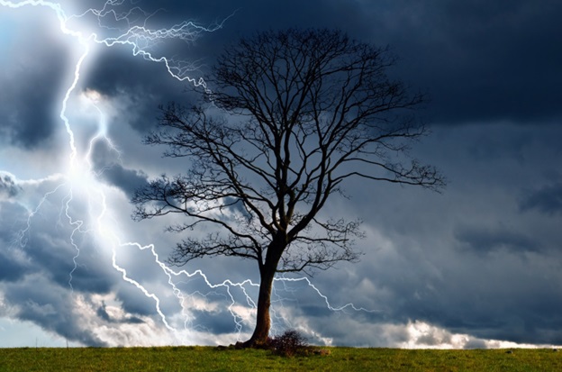 Lightning strikes the ground in the distance during a storm, with a tree in the foreground